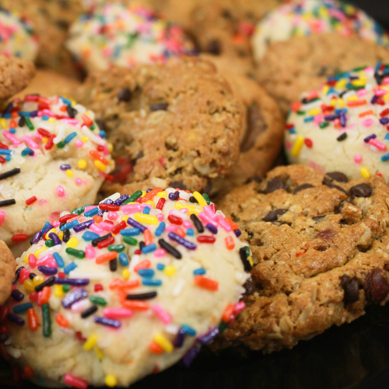 Java House Cake Boxes Catering | Coffee Roasters